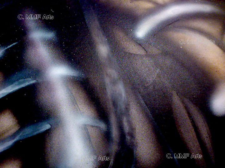 Details GLASS